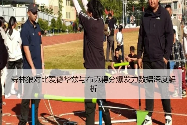 森林狼对比爱德华兹与布克得分爆发力数据深度解析
